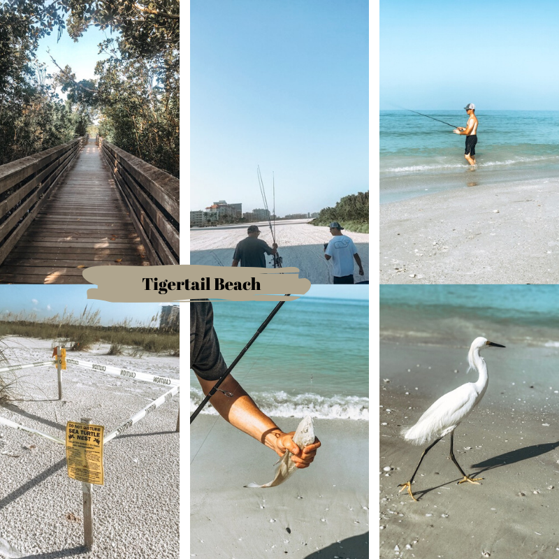 Copy of Know the sustainable alternatives to the things you're using every day. For instance, use co-friendly and reusable bags over single-use plastic bags.(21)